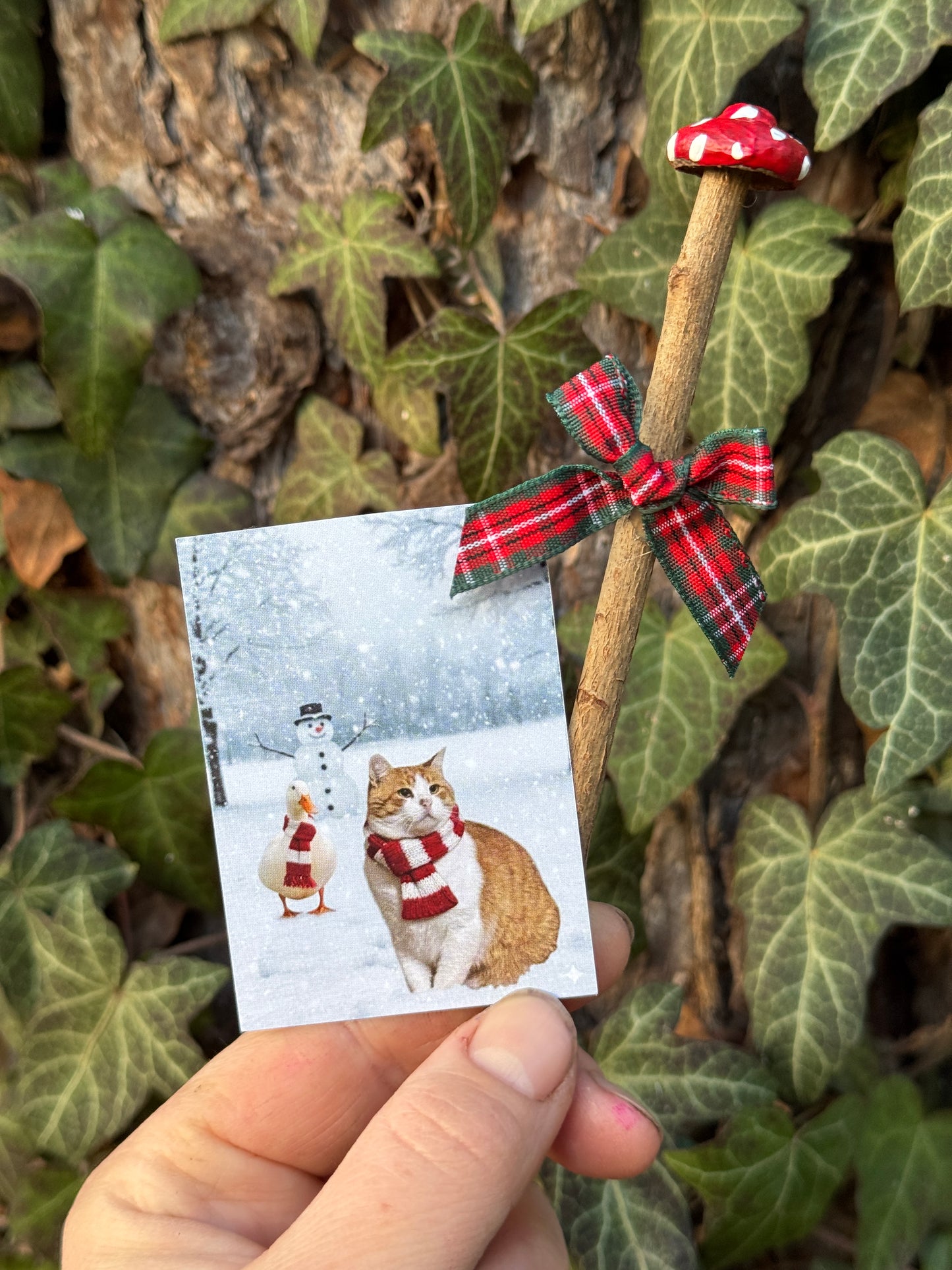 Wild Edibles & Herbs Gift Box *Limited Edition*