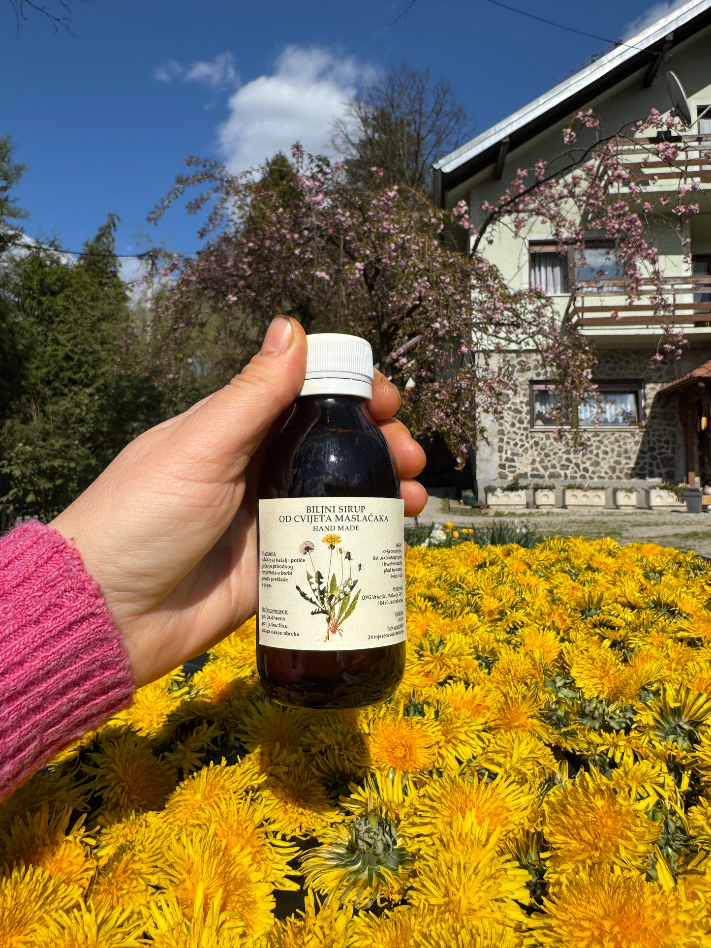 Biljni sirup od cvijeta maslačka
