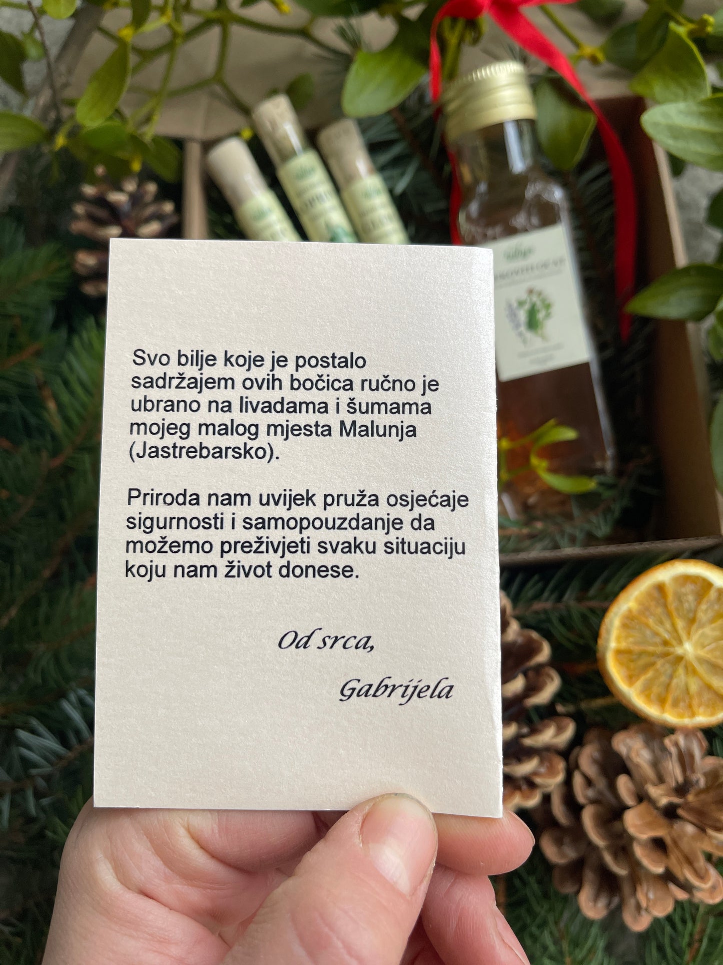 Mini Wild Herbs & Spice Gift Box *Limited Edition*