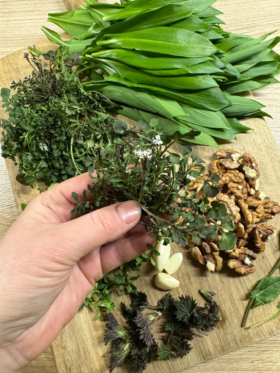 Moji sastojci za 'divlji' pesto