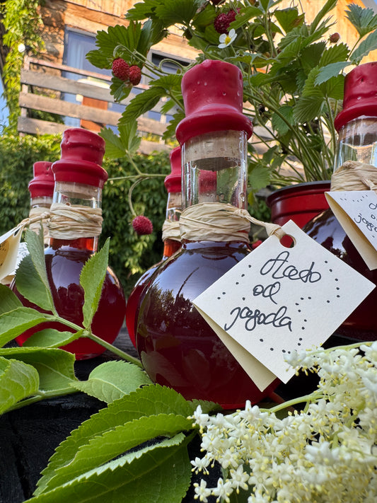 Aceto od jagoda i cvijeta bazge