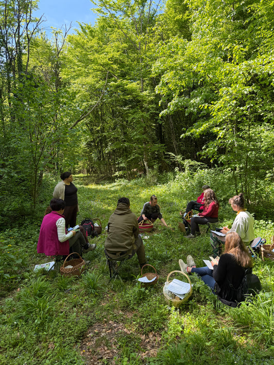 Škola u Prirodi 'Samoniklo jestivo i ljekovito bilje' 04.07. (10-18 h)