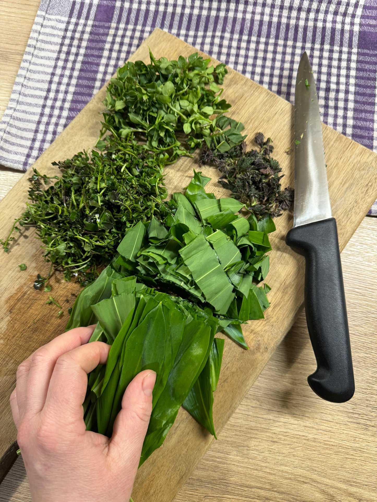 'Proljetno jestivo samoniklo bilje' 28.02./07.03./14.03./21.03.2026. (11-15 h)