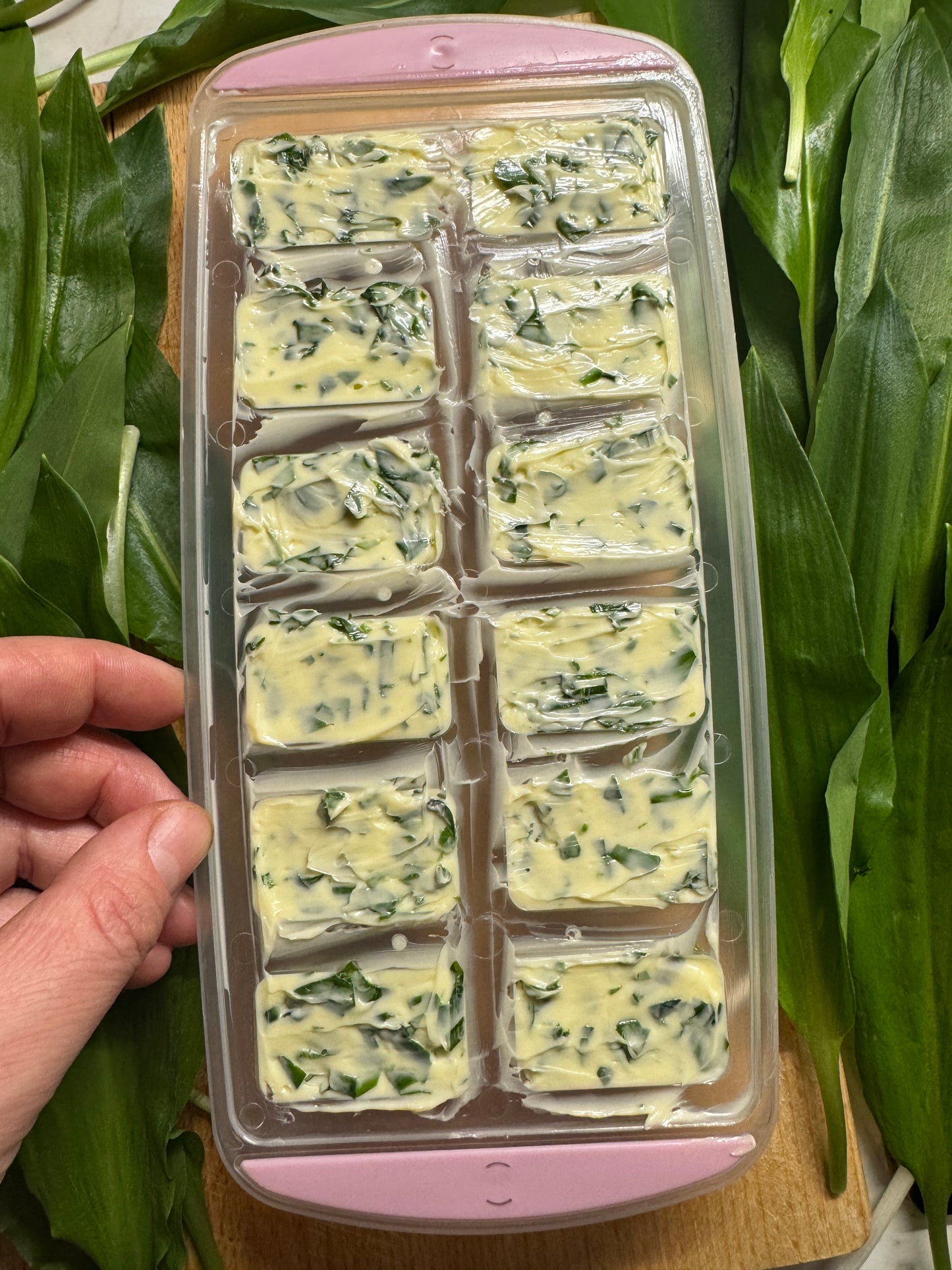 Škola u Prirodi 'Samoniklo jestivo i ljekovito bilje' 09.05.2026. (10-18 h)