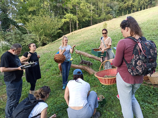 'Samoniklo jestivo i ljekovito bilje' 30.08./13.09.2025. (10-14 h)